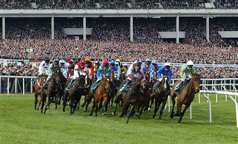 tips for cheltenham 2020|Cheltenham Festival 2020: Paddy’s Top Tips for This Year’s Festival.